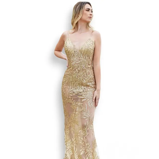 Latest Design Beaded Evening Gown With deep V-Neck Embroidered Gown For Women