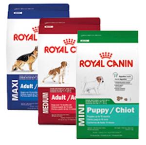 מוכר העליון royall canin 24-חבילות מזון גור רטוב 20 ק "ג מזון יבש חתול dachshund-דגים ללא תבואה-שקיות ארוזים moq 10 ק" ג