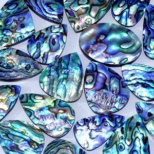 NATURAL <span class=keywords><strong>PAUA</strong></span>アワビシェルハンドポリッシュルーズストーン最高品質のジェムストーンジュエリー卸売ロットを作る