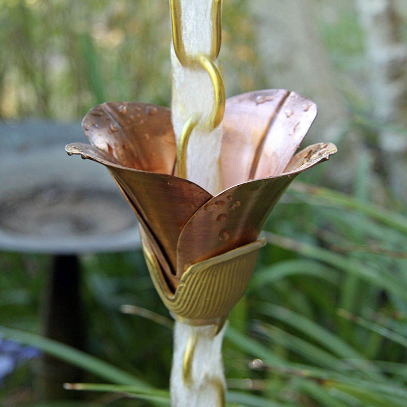 สีน้ำตาล