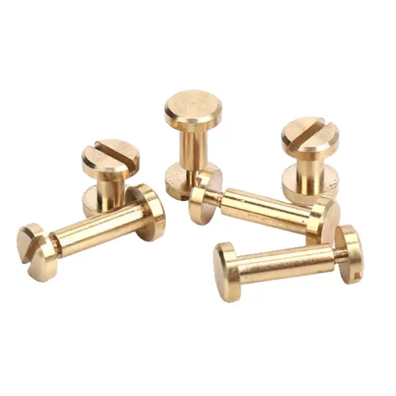 Brass Belt Rivets Belt Screw and Brass Blind Nut Pan Head Slotted Drive Screws and Nut Customize Rivets and Screw