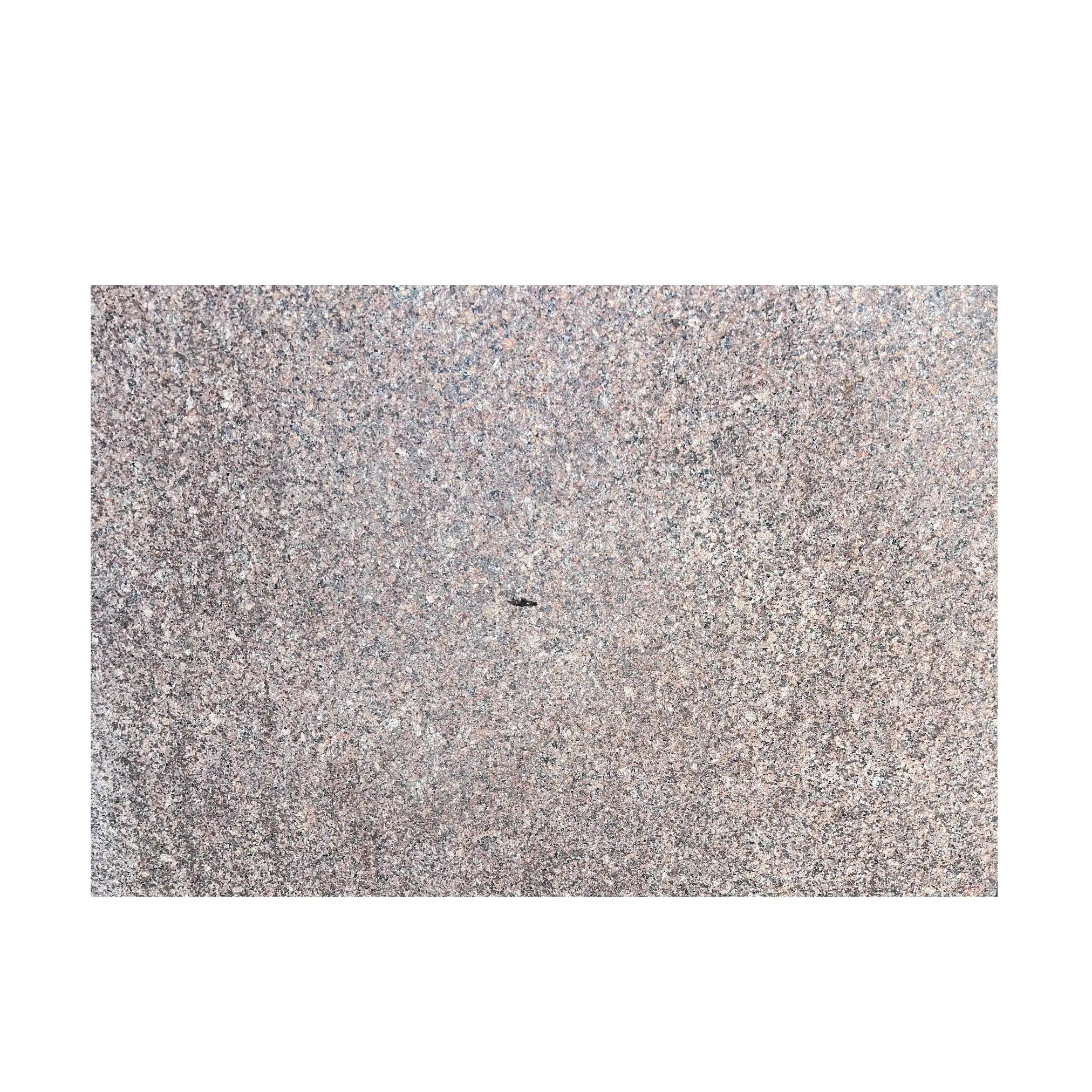 Hindistan'dan ev ve ofis uygulaması için Kharda kırmızı granit döşeme doğal taş ihracatçısı ve tedarikçisi