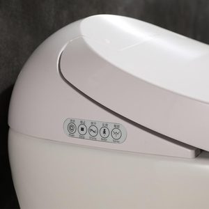 MWD Moderno Inteligente One Piece <span class=keywords><strong>WC</strong></span> Sifão Flushing Inteligente Com Display LED Night Light Banheiros Automáticos para Banheiro