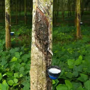 <strong>TSR</strong> <strong>10</strong> TECHNICALLY SPECIFIED NATURAL RUBBER