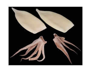 Yüksek kalite dondurulmuş Gigas kalamar tüpü <span class=keywords><strong>U3</strong></span> U4 U5 balık toptan fiyat taze kalite kalamar 50-150g dondurulmuş okyanus kalamar