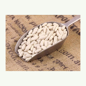 出售白豆用于烘焙和小吃生产