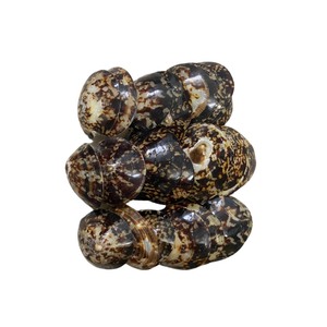 <strong>Discount</strong> 5-10% for First Order: High Quality Limpet <strong>Shell</strong>/ Sea Snail <strong>Shell</strong> Beautiful Model, Factory Price - Product Image 1
