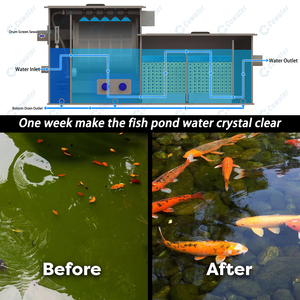 Cowater nhà vườn 5 t/h <span class=keywords><strong>Koi</strong></span> AO lọc UV bio-vi khuẩn kết hợp trống lọc cho Ao - Product Image 2