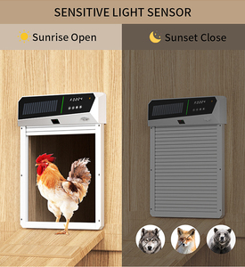 Porta pollaio automatico ad energia solare Coop porta 4 modalità con sensore di luce Timer programmabile di monitoraggio Video di controllo remoto - Product Image 2