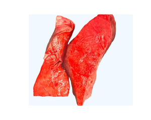 批发牛肺牛肉肉轻牛肉优质产品微量元素含量高批发清真肉