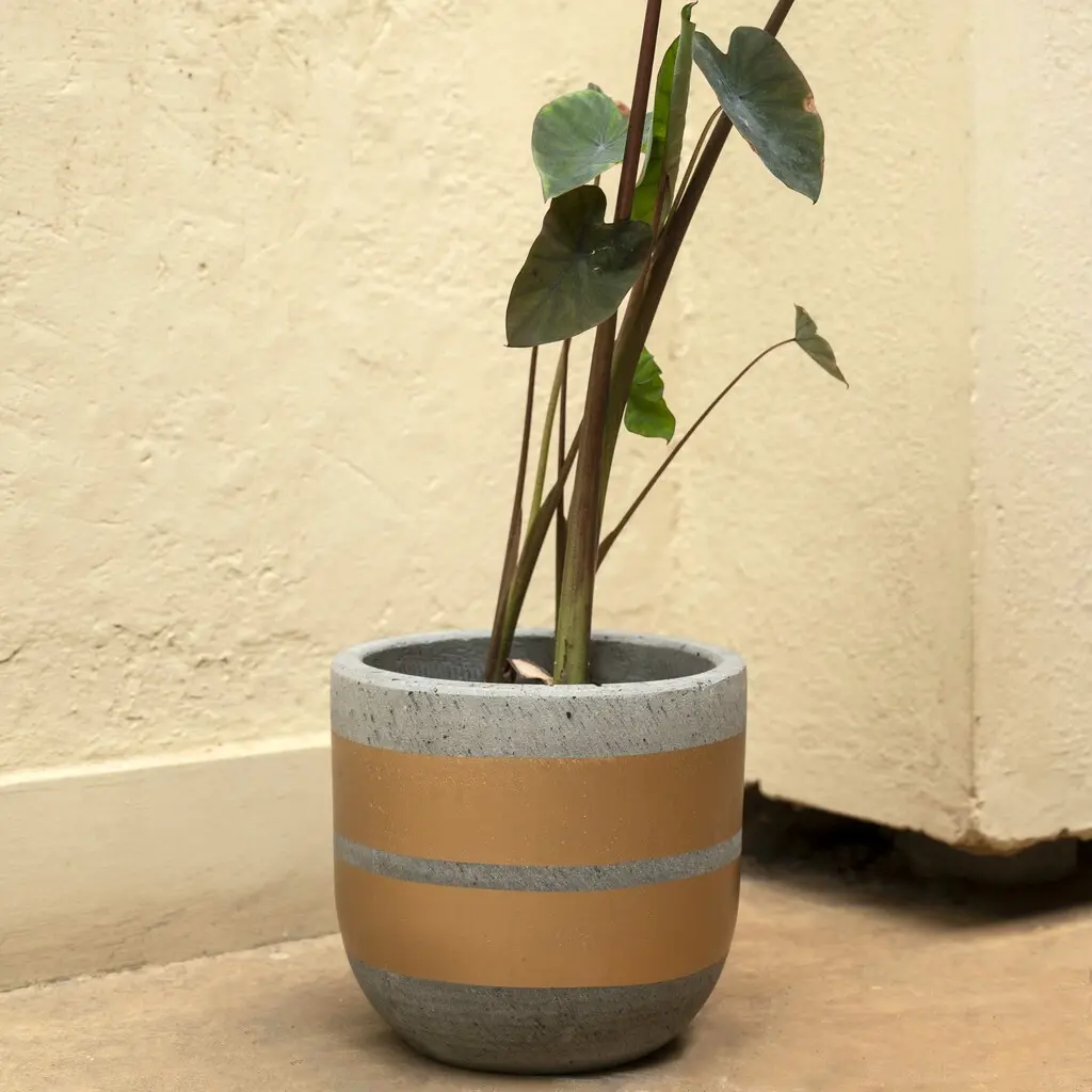 Custom Restaurant Garden vietnam poterie clay plant pot for plant greek plantar quality modern design style