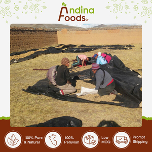 Fábrica de fornecimento directo Outstanding Quality Herbal Extract Pure and Natural Plant Extract Root Parts <span class=keywords><strong>Maca</strong></span> Root Extract <span class=keywords><strong>Powder</strong></span> - Product Image 6