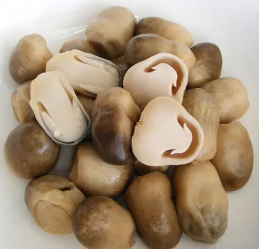 Products best quality made sliced pickled unpeeled straw mushroom canned fresh in brine for export