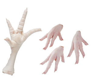 High Quality <strong>Chicken</strong> Leg Wholesale Prices Fresh Frozen Halal Frozen <strong>Chicken</strong> Feet/Paws for Sale - Product Image 1