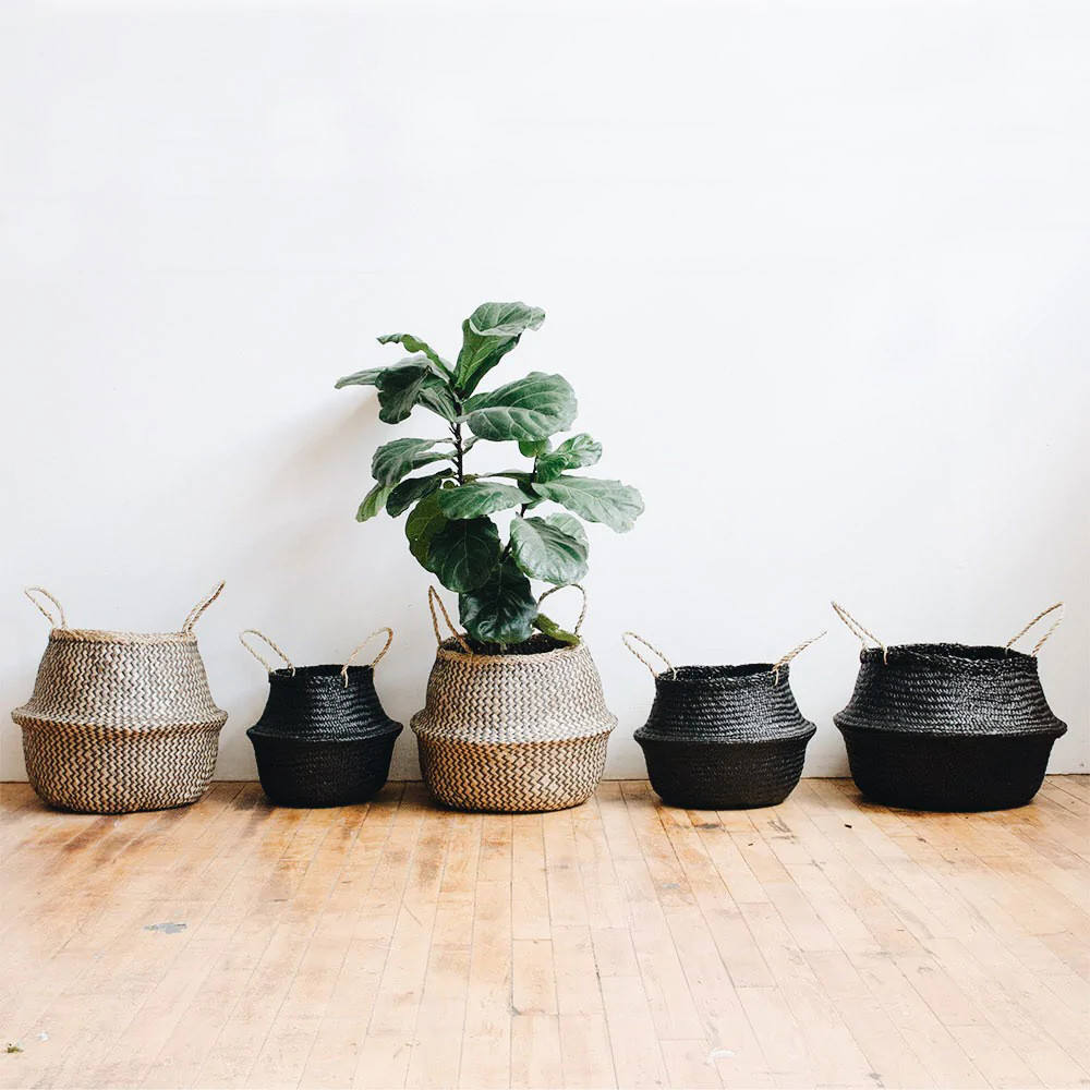 กำหนดเอง