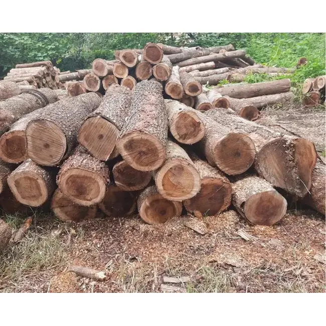 Materia prima de exportación de madera de acacia dura sólida de primera calidad hecha en Vietnam con precio de fábrica