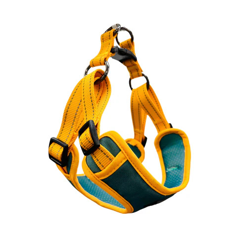 Jungle avec jaune
