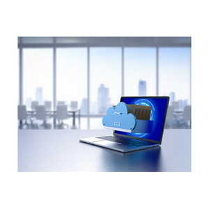 Software di archiviazione dati sicuro basato su Cloud compatibile con Mac versione Internet-esportazione diretta da venditori indiani - Product Image 2