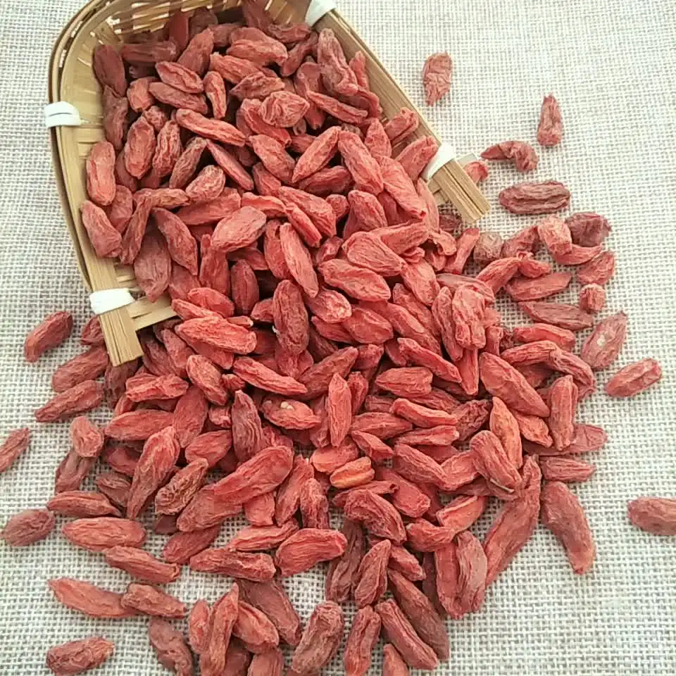 Cooking Spice wolfberry Goji seed in vendita