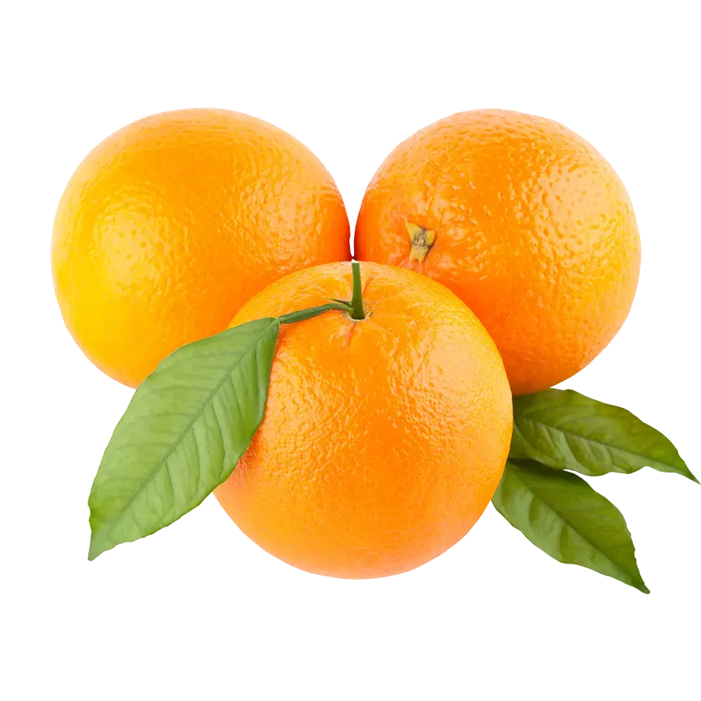 Naranja fresca de Valencia de Egipto, fruta cítrica dulce premium más vendida, naranja de Valencia saludable orgánica natural