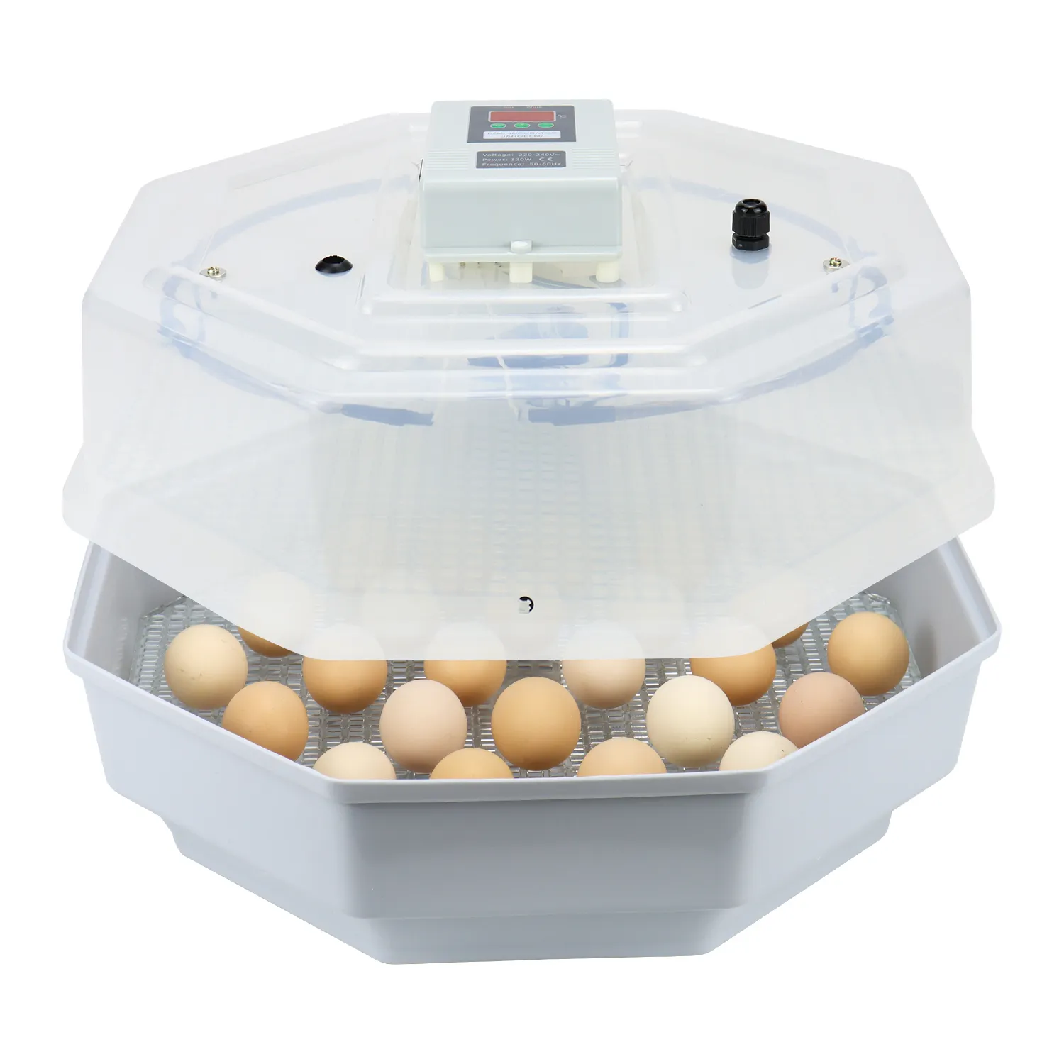 Incubatore 60 uova nuovo materiale allevamenti di polli utilizzano incubatori di uova di gallina per la vendita