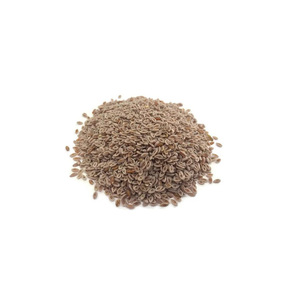 เมล็ดไซเลียมและแกลบเกรดพรีเมี่ยมสำหรับผู้ซื้อขายส่งและผู้ส่งออก - Product Image 6
