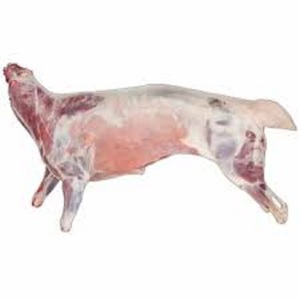 Yüksek kaliteli lal taze soğutulmuş keçi koyun eti/kuzu eti karkas .. - Product Image 1