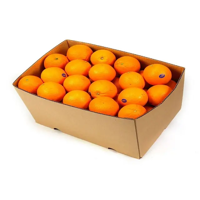 Sinaasappelen Voor Groothandelsprijs Zoete Verse Grote Sinaasappelen/Navel /Valencia/Mandarijn