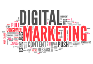 Erweiterte digitale Marketing-Software-Lösungen für Wachstum unterstützt auf Mac Linux DOS; Internet-Version auf Lager - Product Image 4