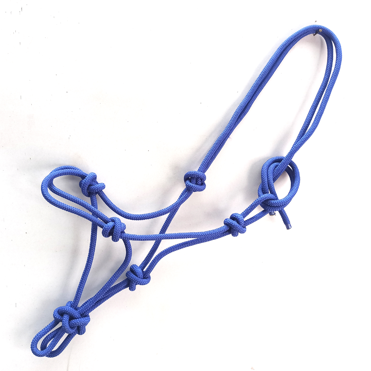 Bleu royal