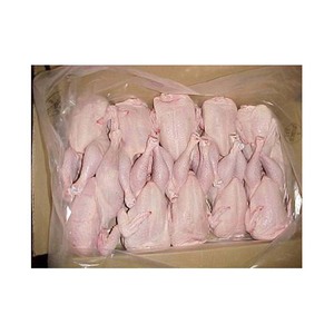 Rekabetçi fiyatlandırma ve hızlı teslimat ile küresel dağıtım için dondurulmuş bütün tavuk - Product Image 6