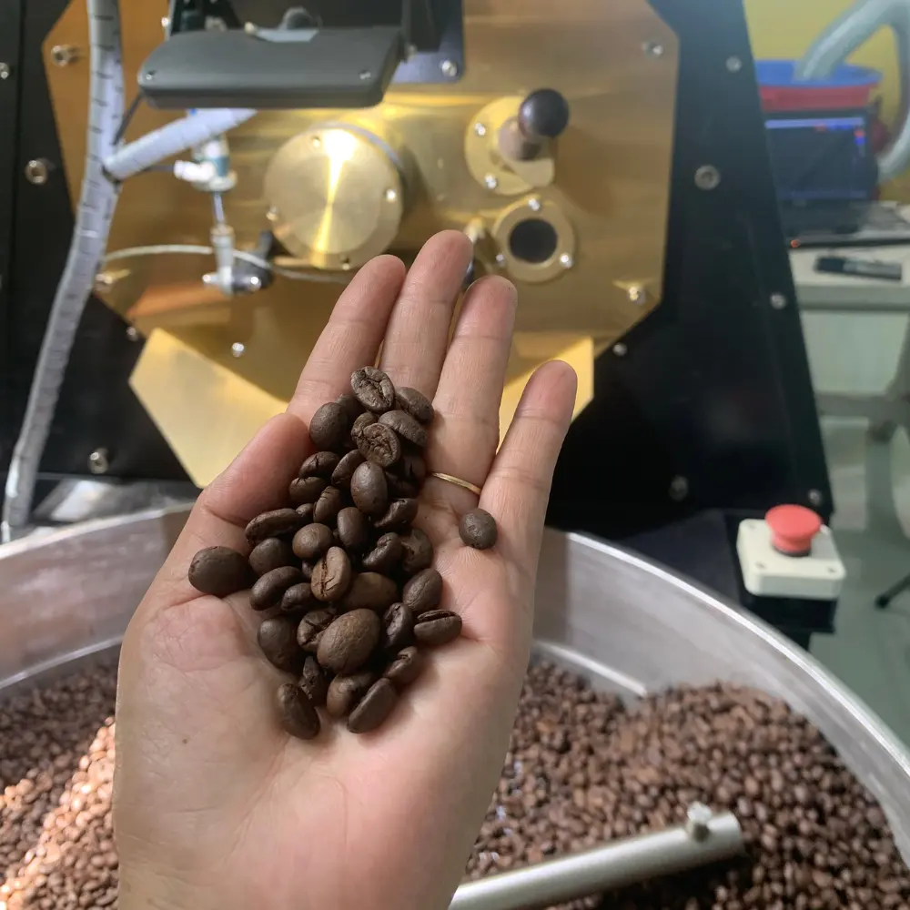 Beroemde Koffie Merk Viet Nam Bij Fabriek Gebrande Koffiebonen Oem Hoge Kwaliteit Robusta Honing Sterk Bitter, Full Body, Chocolade