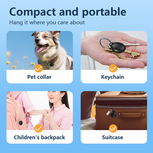 Toptan <span class=keywords><strong>GPS</strong></span> köpek izci Mini kedi akıllı bulucu gerçek zamanlı izleme cihazı mikro Anti kayıp anahtar kolye bulucu evcil hayvan takip cihazı - Product Image 2