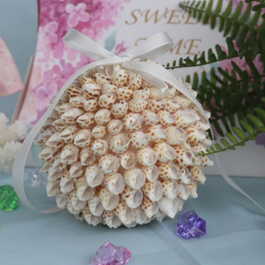 100% NATURAL SEASHELLS BABYLON AREOLATA <strong>SHELLS</strong> for DECORATION and DIY HANDMADE CRAFT GOOD PRICE/READY to SUPPORT in BULK - Product Image 6