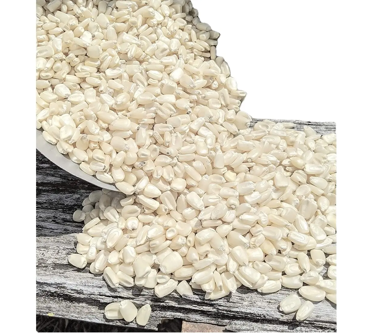 Agricultural Product Bulk Grain White Dry Corn Kernal Dried Maize Dry White Corn with Competitive Price