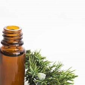 <strong>Best</strong> Price Bulk Exporter of <strong>Cypress</strong> Essential <strong>Oil</strong> Customized Packaging 10ml Bottle for Skin Use - Product Image 2