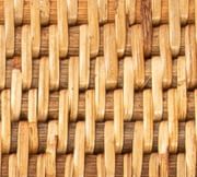 ธรรมชาติ