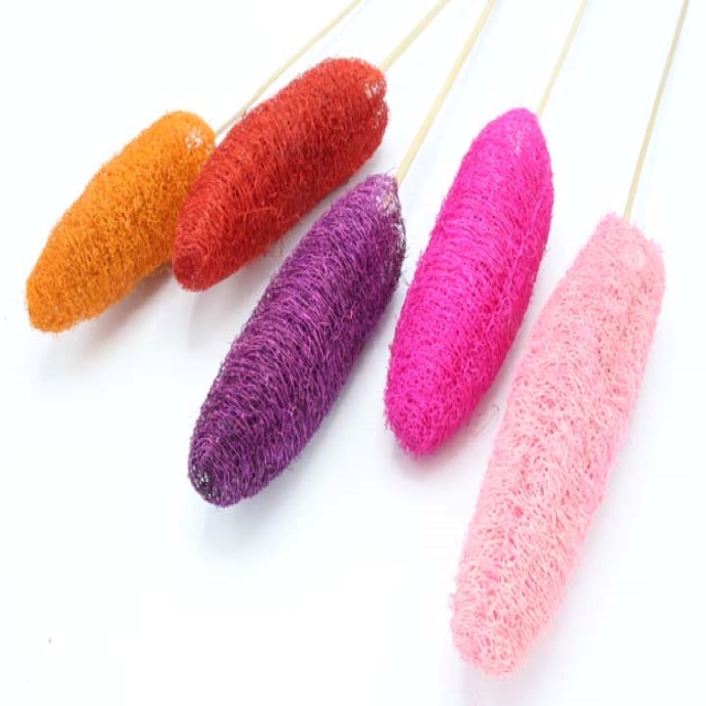 สีส้ม