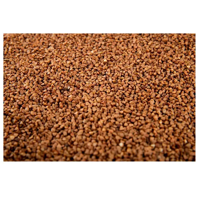 Semilla de alholva mGanna de alta calidad/Trigonella Foenum Graecum polvo de semilla para un cuerpo fuerte, cabello brillante piel suave y sedoso a granel