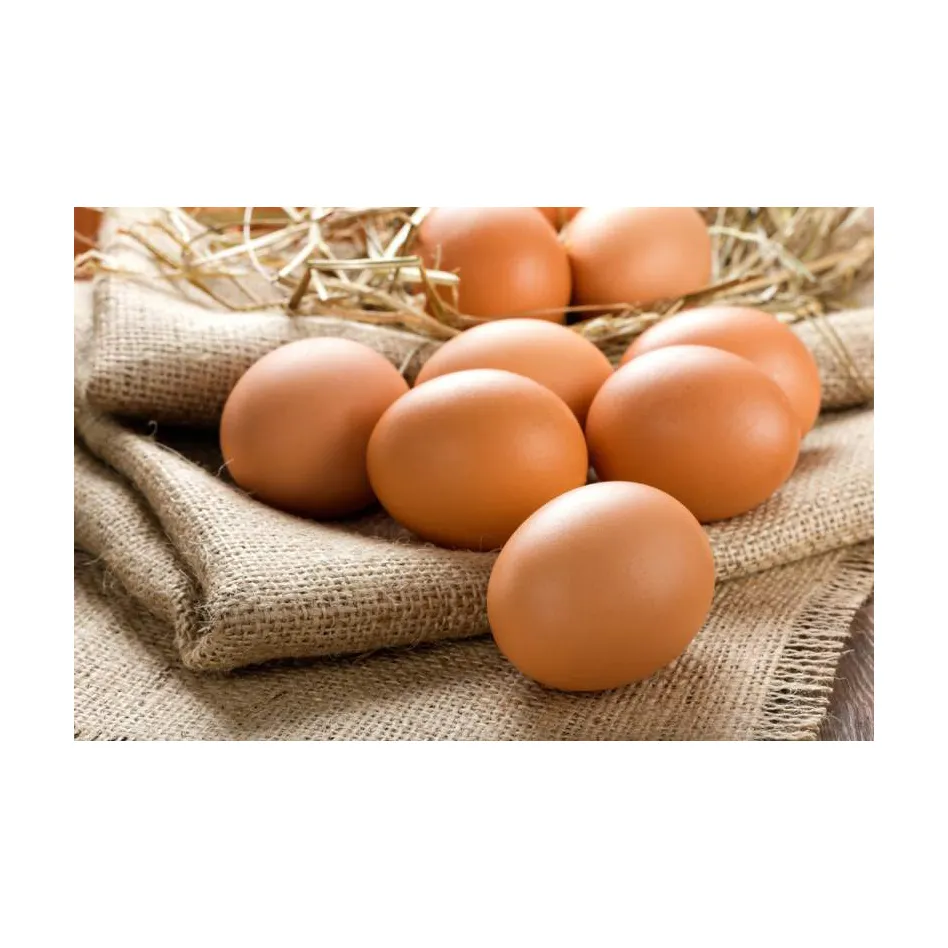 Precio barato al por mayor huevos de gallina frescos para la venta a granel granja pollo fresco huevos marrones para la venta