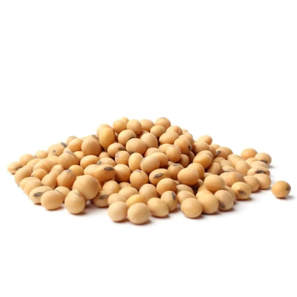 콩 비 GMO 콩 콩 농장 가격
