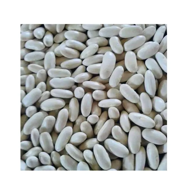 卸売バイヤーのためのベストバイバルク量農業製品乾燥エジプト白インゲン豆/アルビア豆/ネイビービーンズ