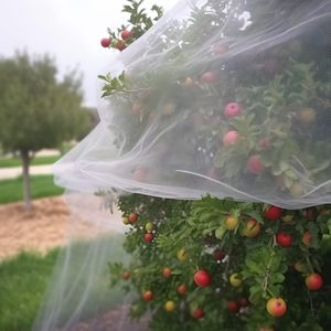 Bền thoáng khí & tái sử dụng trái cây Fly Net côn trùng lưới cho vườn rau tùy chỉnh cắt dịch vụ chế biến - Product Image 3