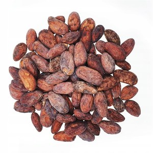 Granos de cacao en polvo manteca de cacao/Cacao/Grano de chocolate