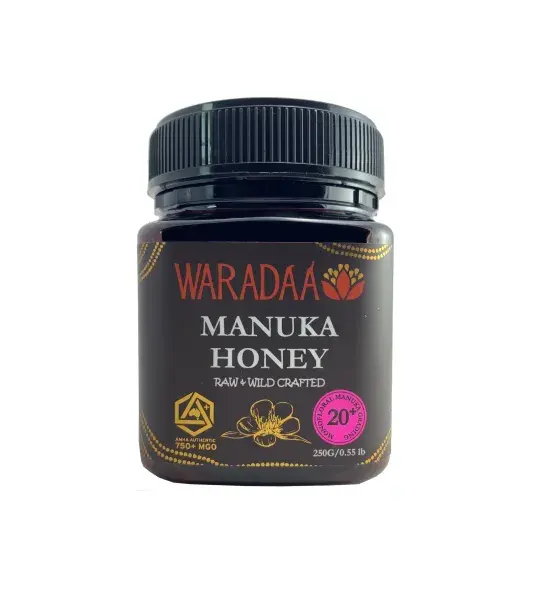 Miel natural de alta calidad Miel orgánica Miel de manuka precio barato