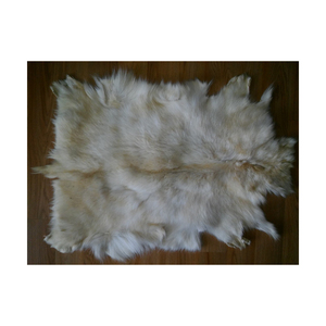 Nhà cung cấp bán buôn của ướt Muối da dê dê da với mái tóc trên số lượng lớn số lượng sẵn sàng cho xuất khẩu - Product Image 2