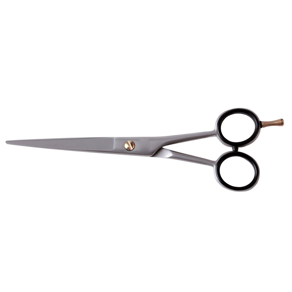 Ciseaux de coiffeur