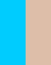 Turquoise/Beige
