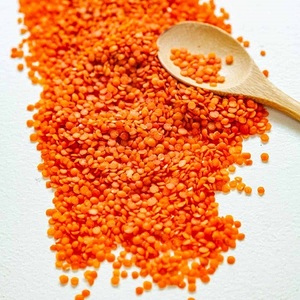 Kırmızı mercimek bütün ve bölünmüş mevcut en iyi kalite-kanada yeşil mercimek - Product Image 4