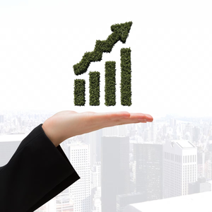 E-commerce Site Product Returns Setup Mini Site Landing Page Optimization Product Sales Reporting Storefront Loyalty <strong>Program</strong>